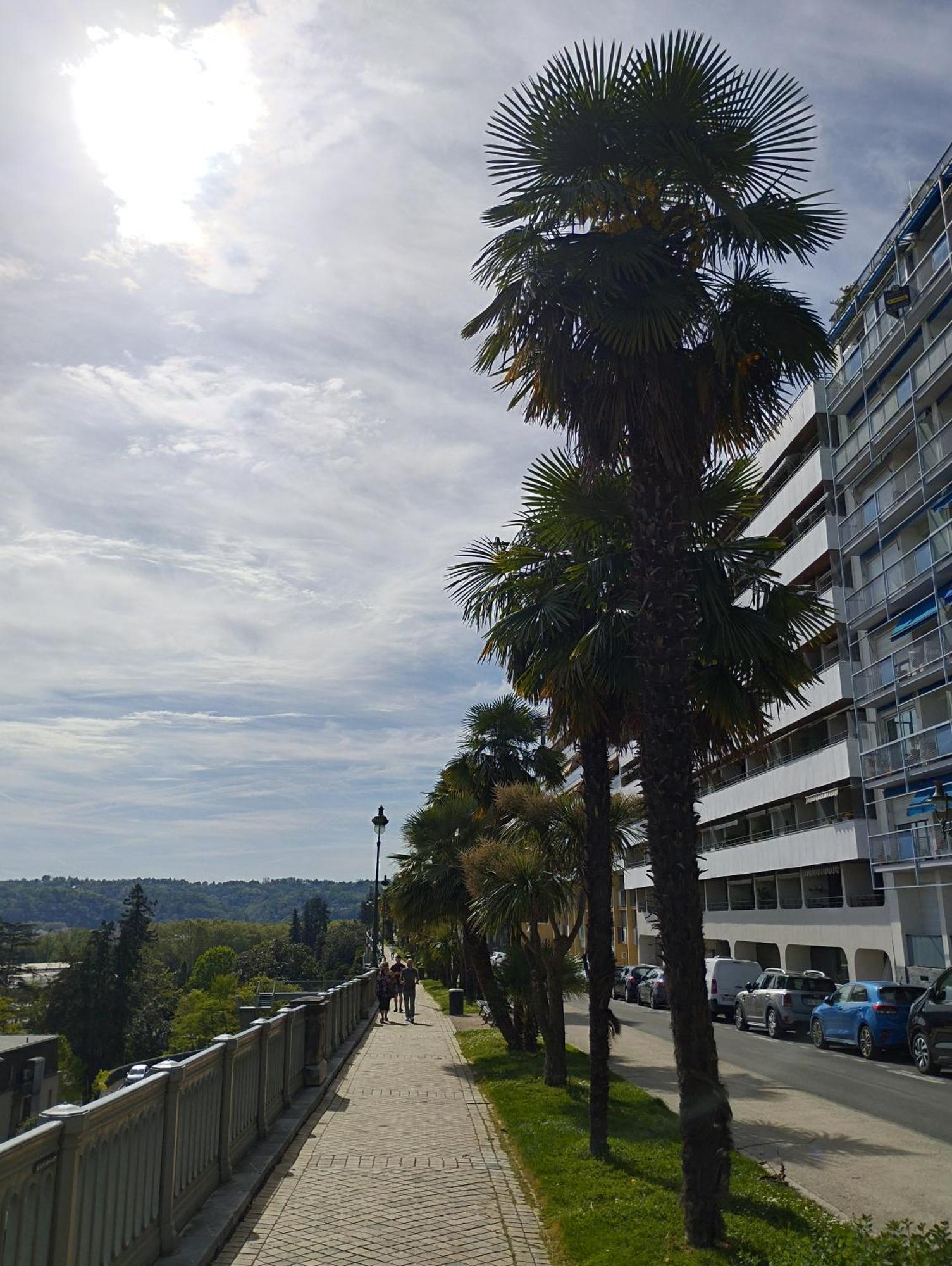 Chambrette Boulevard Des Pyrenees Hypercentre 10M Carre Wc Sur Le Palier, Porte40 波城 外观 照片